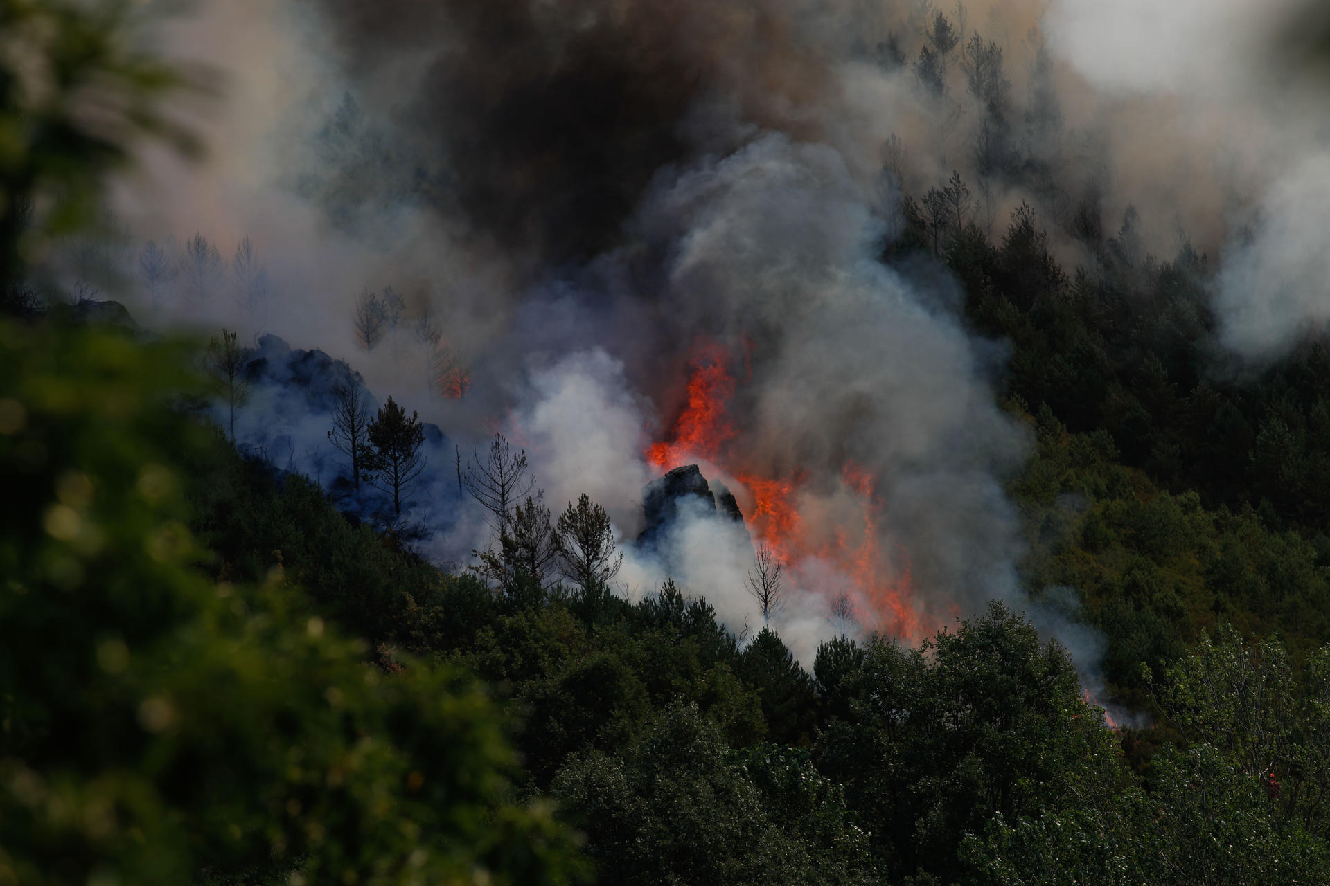 Incendio forestal en la Reserva Natural Courel-Ancares,en los montes entre León y Galicia, este lunes. EFE/ Eliseo Trigo