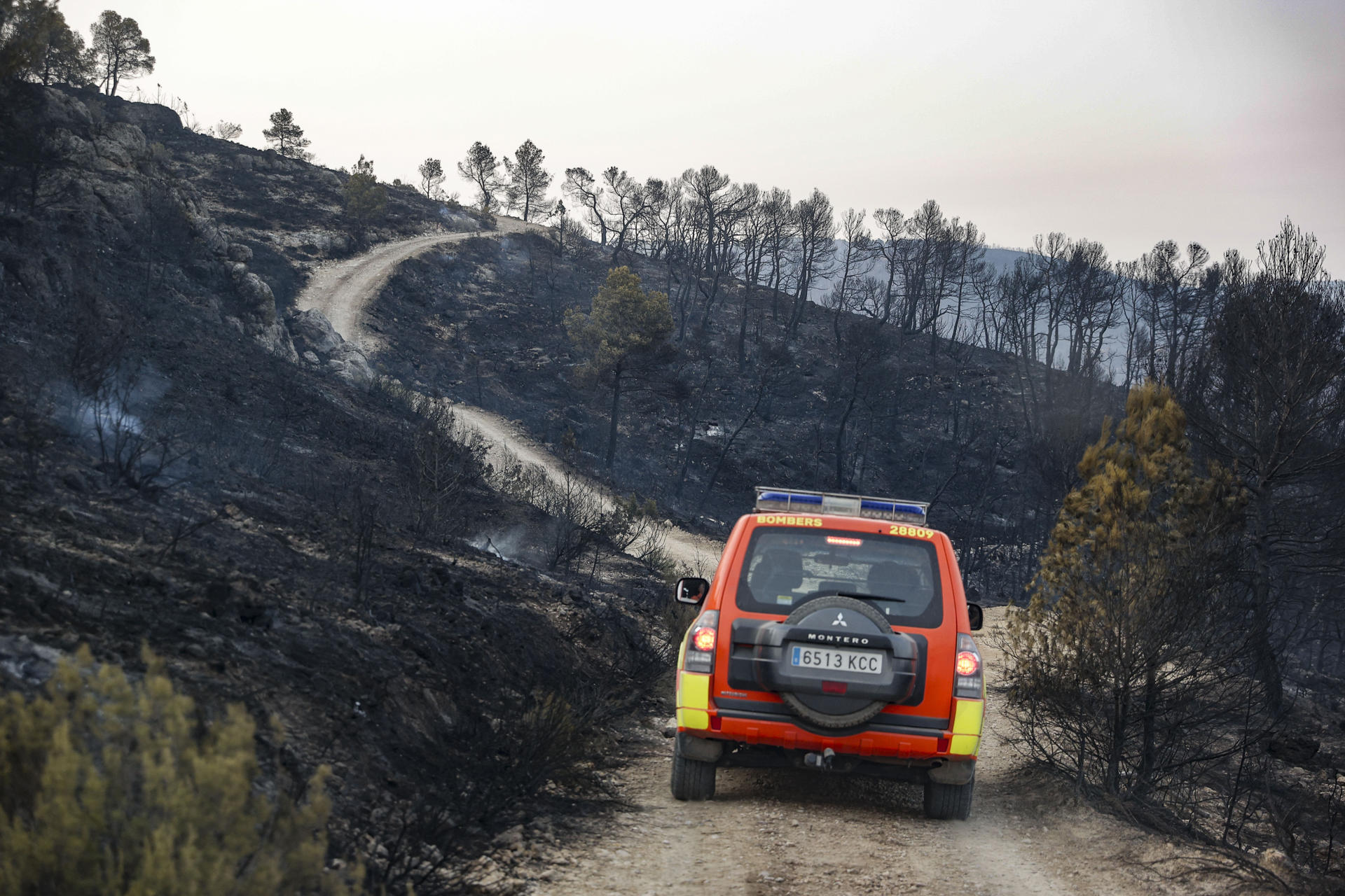 Un total de siete medios aéreos se han incorporado esta mañana a las tareas de extinción del incendio forestal declarado la tarde de este miércoles en una zona de difícil acceso de Teresa de Cofrentes (interior sur de Valencia), iniciado por un rayo. En la imagen un todoterreno de Bomberos circula por una pista en la zona incendiada a primera hora de este jueves. EFE/Manuel Bruque