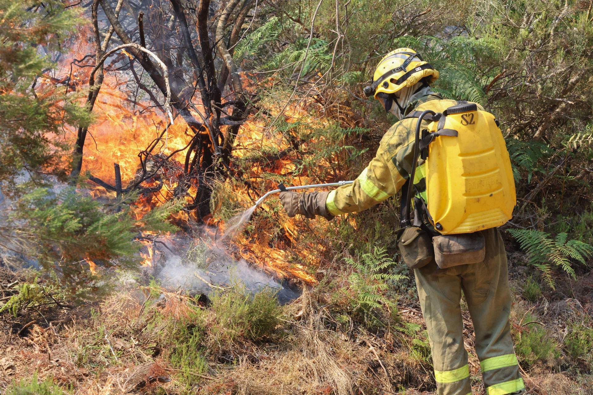 Bomberos trabajan en la extinción del incendio este jueves, en las proximidades de La Alberca (Salamanca). EFE/ JMGARCIA
