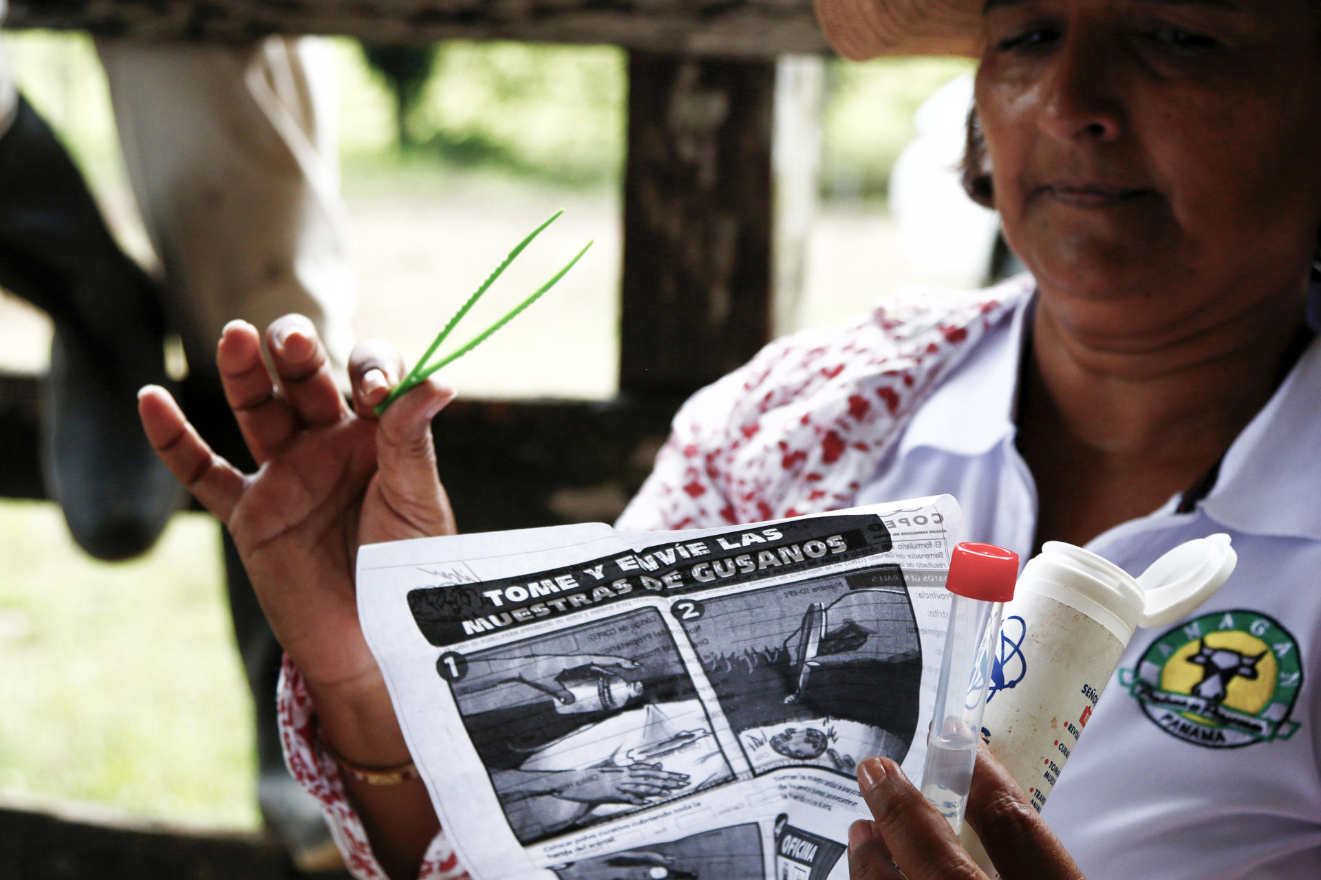 Fotografía del 18 de julio de 2025 de la presidenta de la Asociación Nacional de Ganaderos de Panamá (Anagan) capítulo de Darién, Olga Frías, mostrando el equipo para tratar al gusano barrenador en Metetí (Panamá). EFE/ Moncho Torres