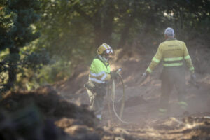 Los brigadistas intentan contener el incendio en la zona limítrofe entre Ourense y Zamora. EFE/Mariam A. Montesinos