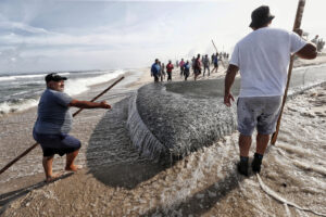 La xávega, una práctica ancestral de pesca propia de varias regiones del norte y el centro de Portugal, en la Praia de Torreira. EFE/ Jesús Diges