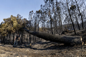 Vista de los efectos del incendio en las localidades abulenses de Mombeltrán, Cuevas del Valle y El Arenal. EFE/ Raúl Sanchidrián