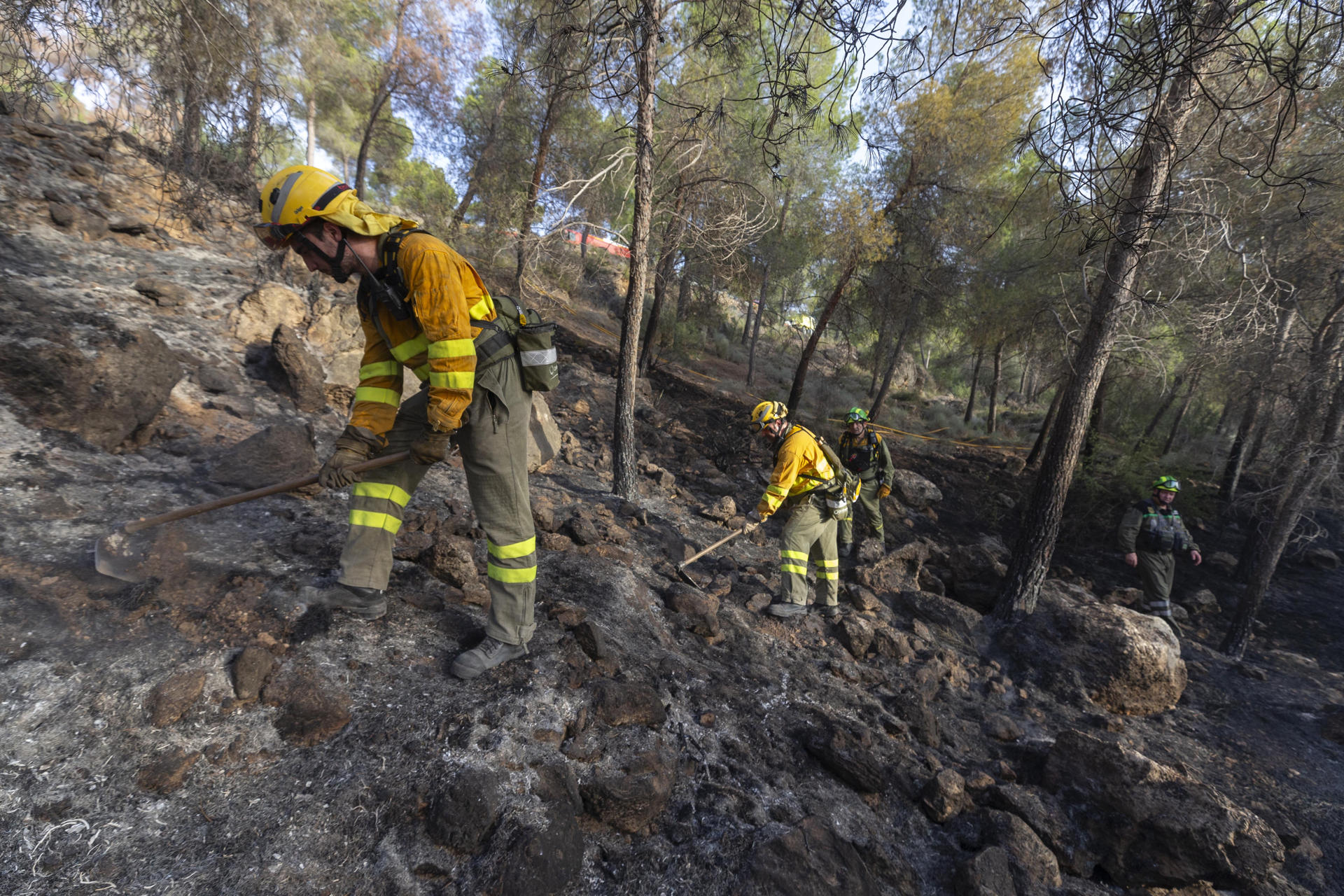 Brigadistas forestales refrescan un incendio. EFE/MARCIAL GUILLÉN
