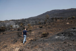 Zona quemada en el parque natural en Tarifa por el incendio forestal declarado el pasado martes en Tarifa (Cádiz). EFE/ A.Carrasco Ragel.