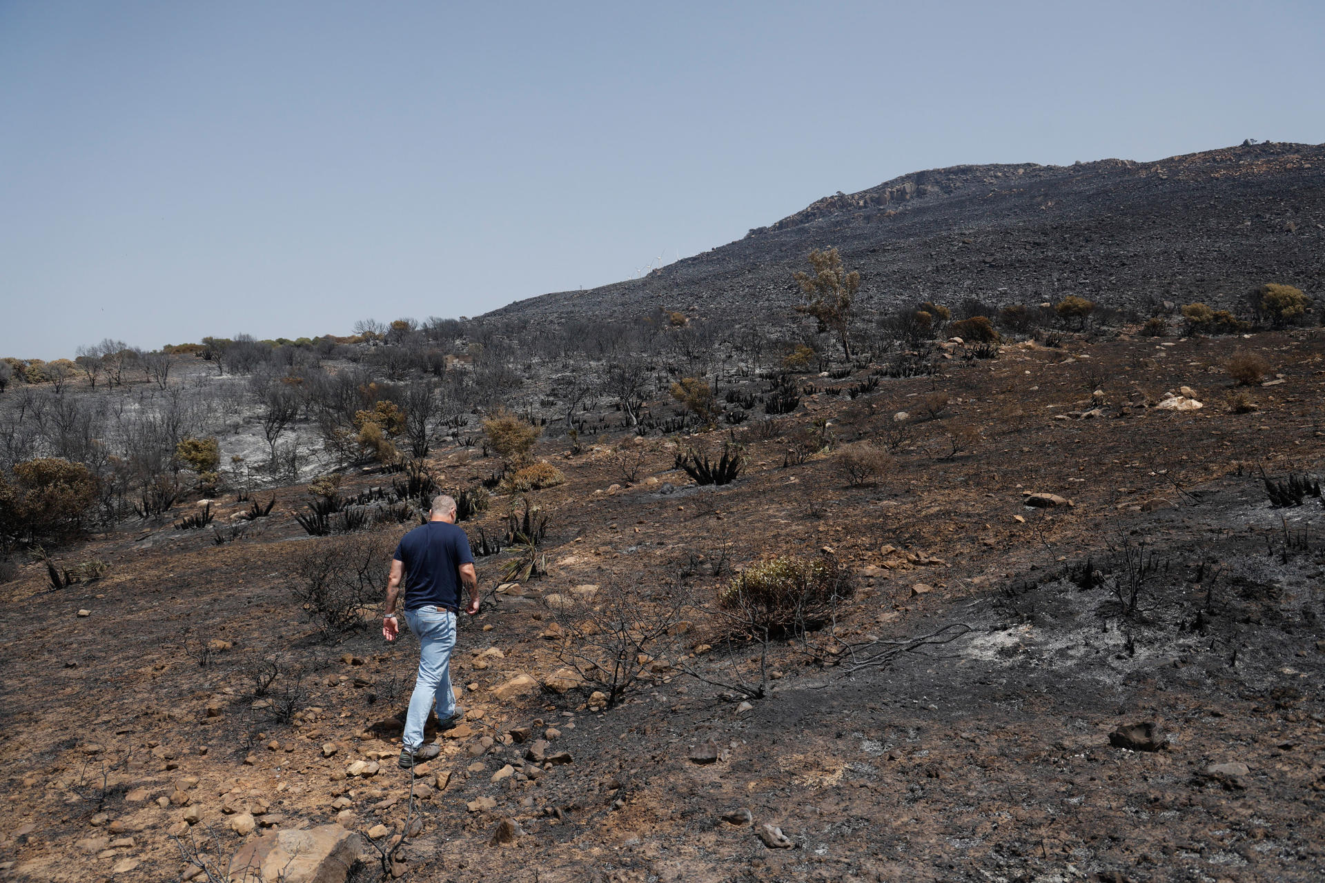 Zona quemada en el parque natural en Tarifa por el incendio forestal declarado el pasado martes en Tarifa (Cádiz). EFE/ A.Carrasco Ragel.
