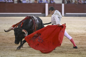 El diestro Rafael Cerro da un pase con la muleta al primero de los de su lote, durante la corrida celebrada en la plaza de toros de Las Ventas, en Madrid. EFE/Fernando Villar