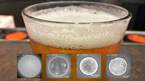 Imágenes de interferencia de ondas (interferometría) de burbujas de cerveza, superpuestas sobre un vaso de cerveza espumosa. Crédito: AIP/Chatzigiannakis et al. / SOLO USO EDITORIAL