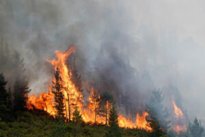 Vista del incendio de San Antolín de Ibias, Asturias, España . EFE/Paco Paredes