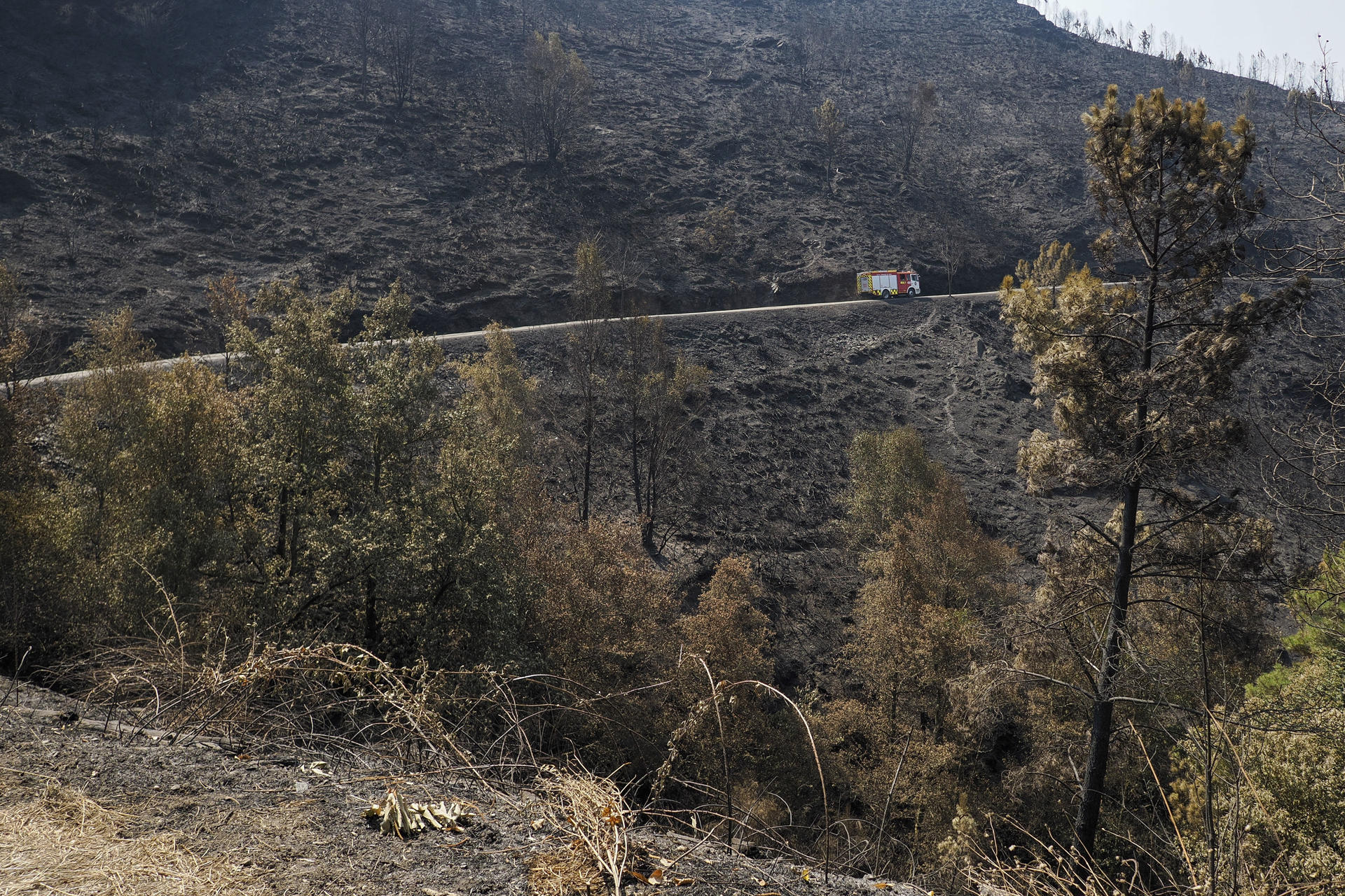 Un camión de bomberos revisa este jueves zonas quemadas en Quiroga (Lugo) por un incendio que se inició en Larouco (Ourense) y tras cruzar el río Sil se ha situado en la localidad lucense de Quiroga, superando las 30.000 hectáreas afectadas en el territorio gallego, el más extenso. EFE/ Eliseo Trigo