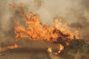 El fuego cruza una carretera por el incendio forestal este viernes, en las proximidades de Cipérez (Salamanca). EFE/JM GARCIA