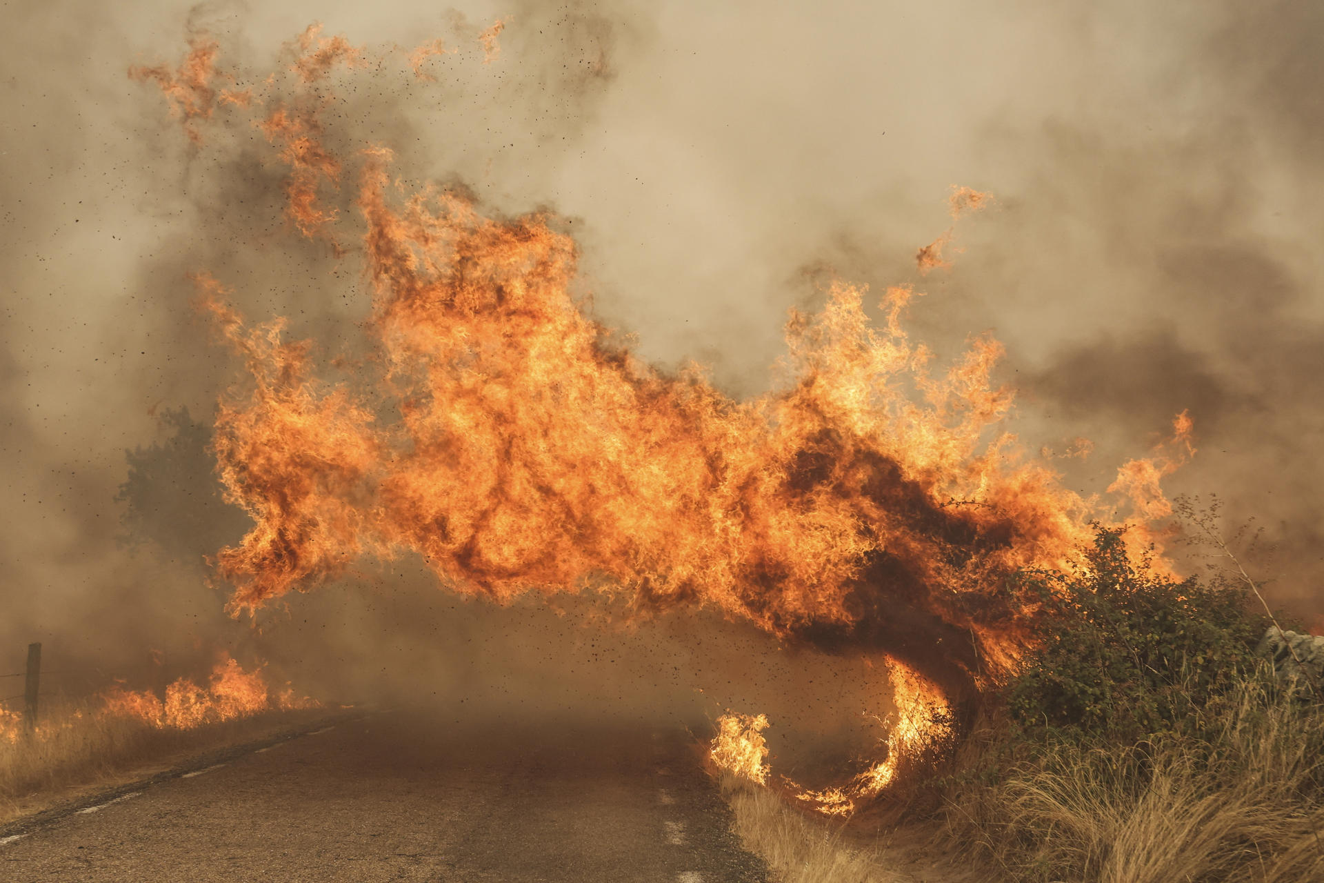 El fuego cruza una carretera por el incendio forestal este viernes, en las proximidades de Cipérez (Salamanca). EFE/JM GARCIA