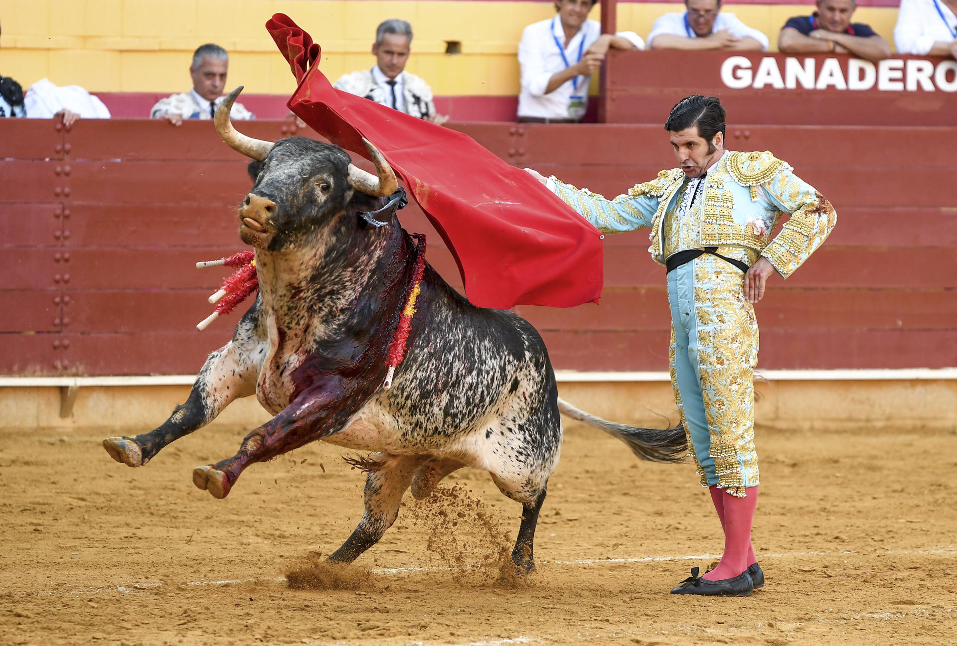 El diestro Morante de la Puebla da un pase a su primer astado durante la corrida de toros celebrada en el coso de Roquetas de Mar, Almería. EFE / Carlos Barba