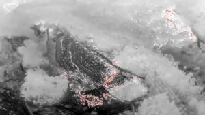 Imagen tomada por un dron con cámara térmica que muestra la zona quemada en el incendio de Vilaboa (Pontevedra). La Xunta ha desactivado el nivel 2 de emergencia en el incendio forestal de Vilaboa (Pontevedra), pero mantiene esa situación en la provincia de Ourense, donde los grandes incendios, según las estimaciones de la Consellería de Medio Rural, han frenado su progresión. EFE/ Ministerio de Defensa SOLO USO EDITORIAL/SOLO DISPONIBLE PARA ILUSTRAR LA NOTICIA QUE ACOMPAÑA (CRÉDITO OBLIGATORIO)
