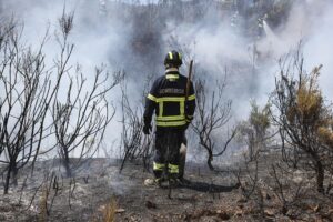 Un bombero lucha contra el fuego en Pampilhosa da Serra, Portugal. EFE/EPA/PAULO NOVAIS