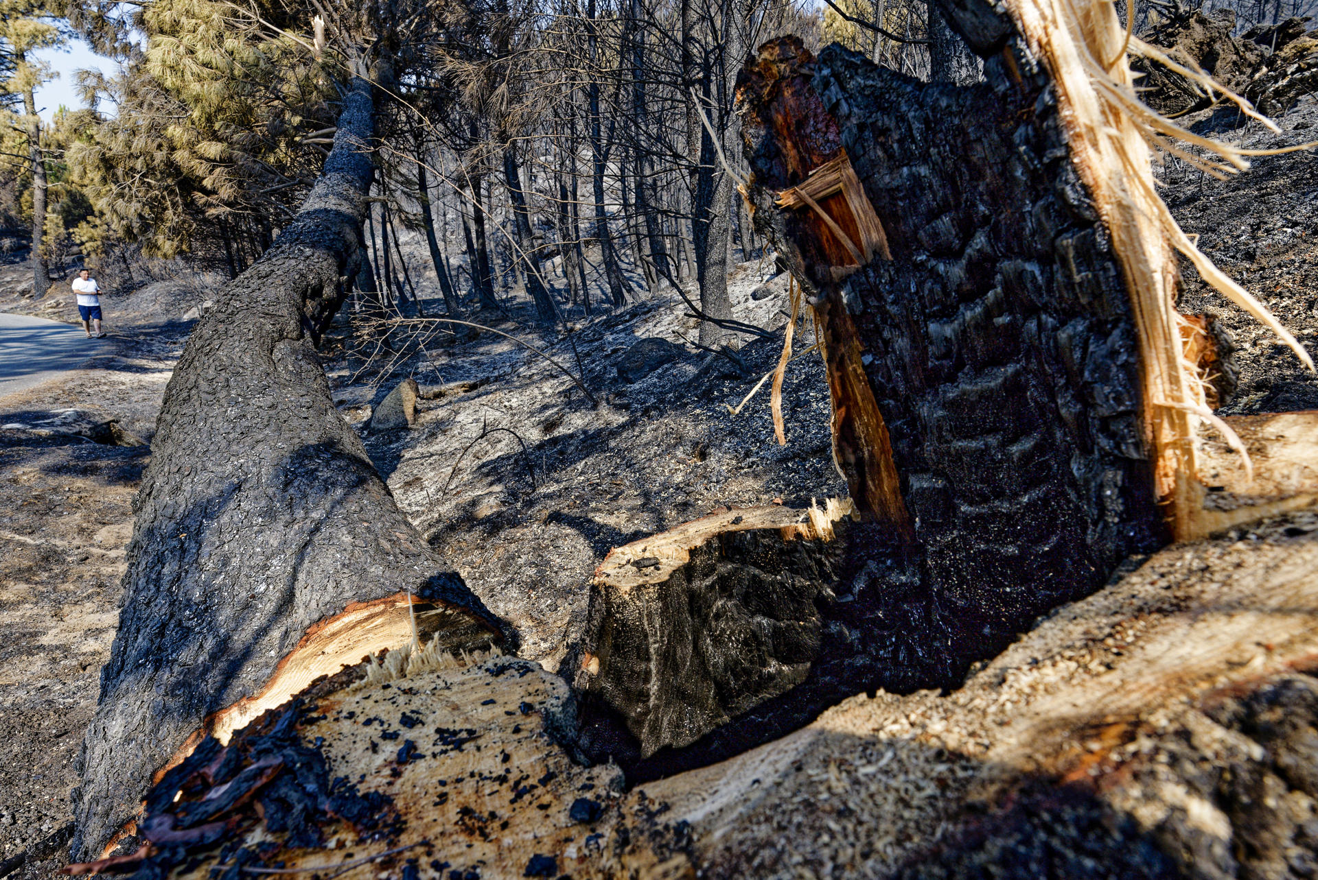 Vista de los efectos del incendio en las localidades abulenses de Mombeltrán, Cuevas del Valle y El Arenal. El incendio forestal que desde la noche del pasado lunes se mantiene activo en el Valle del Tiétar, al sur de la provincia de Ávila, no sufre reproducciones, después de una noche "tranquila", en la que el trabajo del amplio dispositivo desplazado a la zona ha sido "productivo". Tras la evolución positiva del jueves, favorable y sin llama en el perímetro de 25 kilómetros en el que se han quemado en torno a 2.200 hectáreas, la situación se mantiene en la mañana de este viernes con trabajos "metro a metro", según ha informado la Junta de Castilla y León.-EFE/ Raúl Sanchidrián

