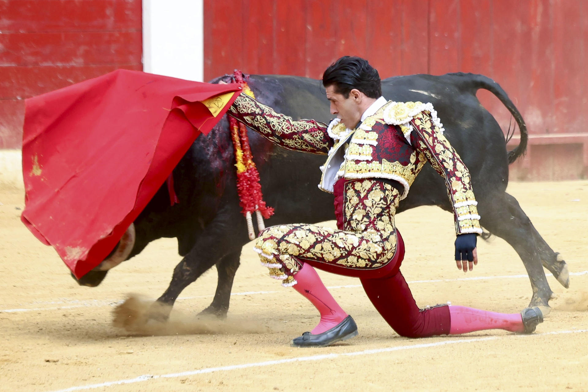 El diestro Alejandro Talavante en la feria taurina en honor a San Emeterio y San Celedonio este domingo en la localidad riojana de Calahorra. EFE/Raquel Manzanares