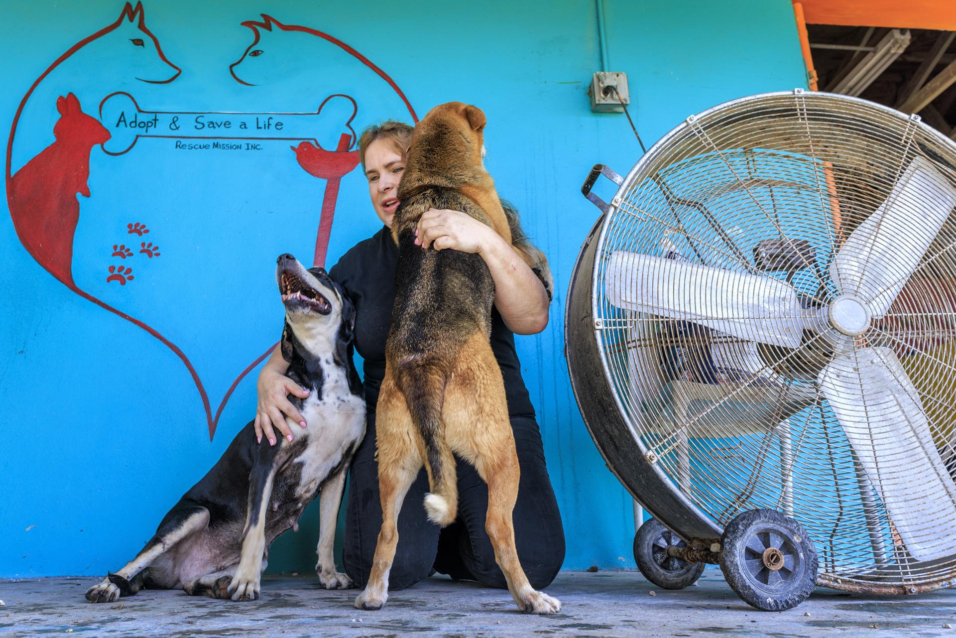 Daymi Blain, directora de Adopt and Save a Life Rescue Mission, juega con perros rescatados en la sede de la organización en Miami, Florida, Estados Unidos. EFE/CRISTOBAL HERRERA-ULASHKEVICH
