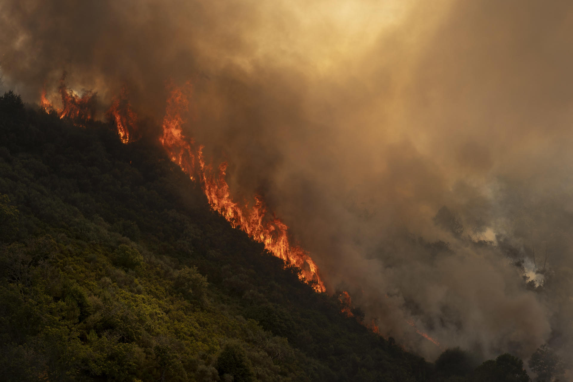 Llamas del incendio que afecta al municipio ourensano de Vilardevós y que, según las últimas estimaciones de la Xunta, que ha decretado el nivel 2 de emergencia por su proximidad a núcleos de población, afecta a 400 hectáreas. EFE/ Brais Lorenzo