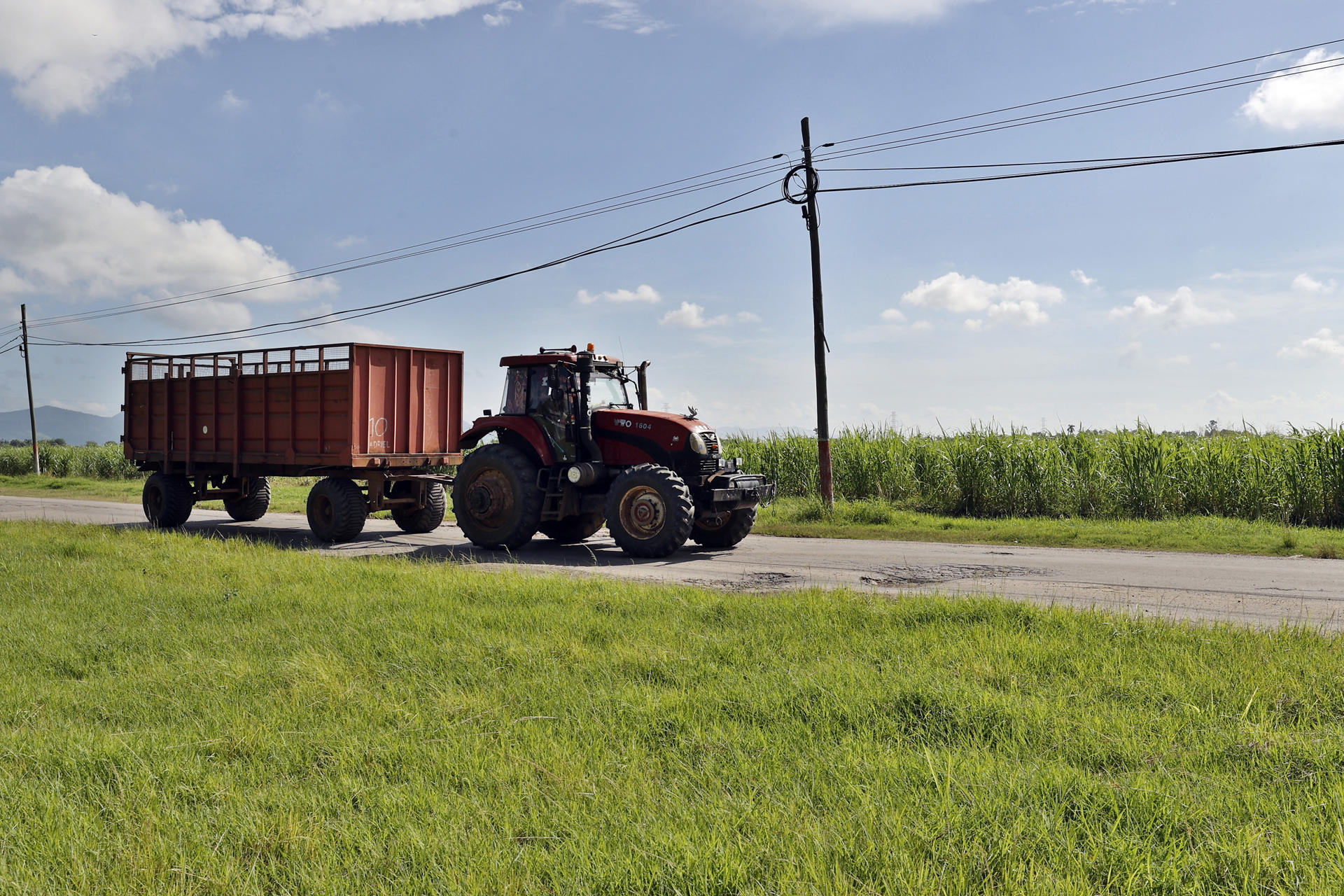 Un tractor pasa junto a una plantación de caña de azúcar este miércoles, en la provincia de Artemisa (Cuba). EFE/ Ernesto Mastrascusa
