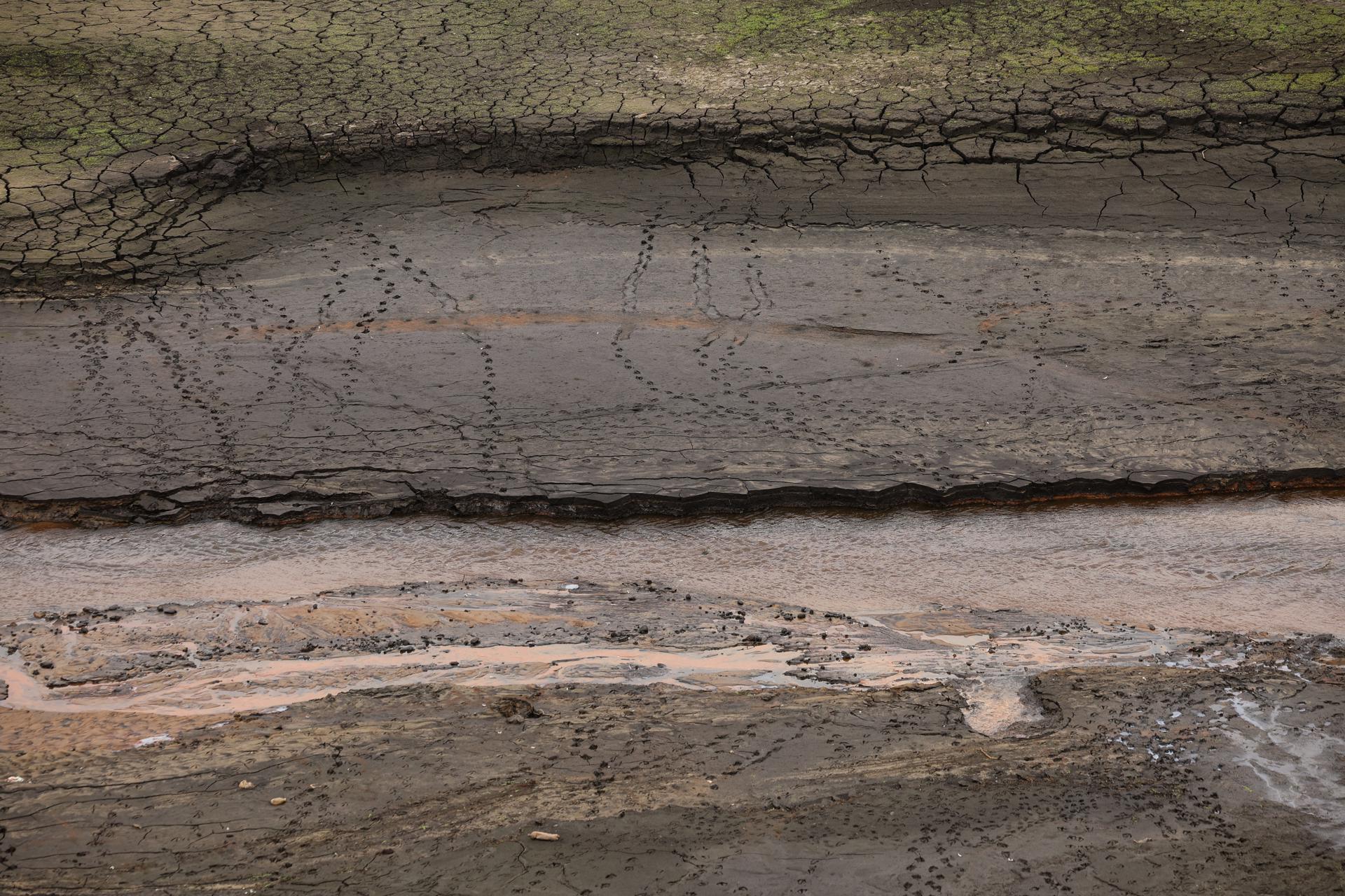 Imagen de los bajos niveles de agua en Derbyshire, Reino Unido. EFE/EPA/ADAM VAUGHAN
