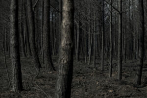 Vista este sábado de la superficie calcinada por los incendios de los últimos días en las inmediaciones de A Gudiña (Ourense) . EFE / Brais Lorenzo