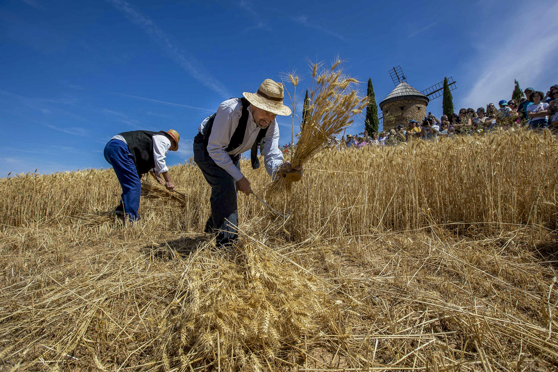 La localidad riojana de Ocón ha celebrado este domingo la Fiesta de la Molienda, que ha cumplido su edición número 18 para recordar y enseñar a los jóvenes cómo se vivía en gran parte de La Rioja hasta hace algunas décadas y cómo era el trabajo que se realizaba en torno al cultivo de cereal.Alrededor de dos mil quinientas personas han podido ver cómo se realizaban los trabajos de siega, acarreo del cereal, la trilla y la separación de la paja y el trigo, todo ello a mano, como se realizaba en todos los municipios cerealistas riojanos hasta la llegada de las cosechadoras..-EFE/Raquel Manzanares