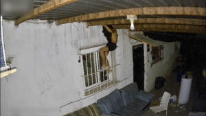 La Guardia Civil ha detenido al supuesto autor de un robo en una peña de La Almunia de Doña Godina (Zaragoza), a la que había accedido tras saltar una valla y entrar entre las rejas de una ventana para robar un ordenador portátil, un disco duro y bebidas. EFE/Guardia Civil -SOLO USO EDITORIAL/SOLO DISPONIBLE PARA ILUSTRAR LA NOTICIA QUE ACOMPAÑA