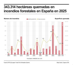 Un total de 344.417 hectáreas se han quemado en España en los 224 incendios ocurridos este año, según los datos recogidos por el Sistema Europeo de Información sobre Incendios Forestales (EFFIS, por sus siglas en inglés), de Copernicus, actualizados este lunes.