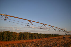 Fotografía de archivo de una plantación de café en una zona rural, en Brasilia (Brasil). EFE/ Andre Borges