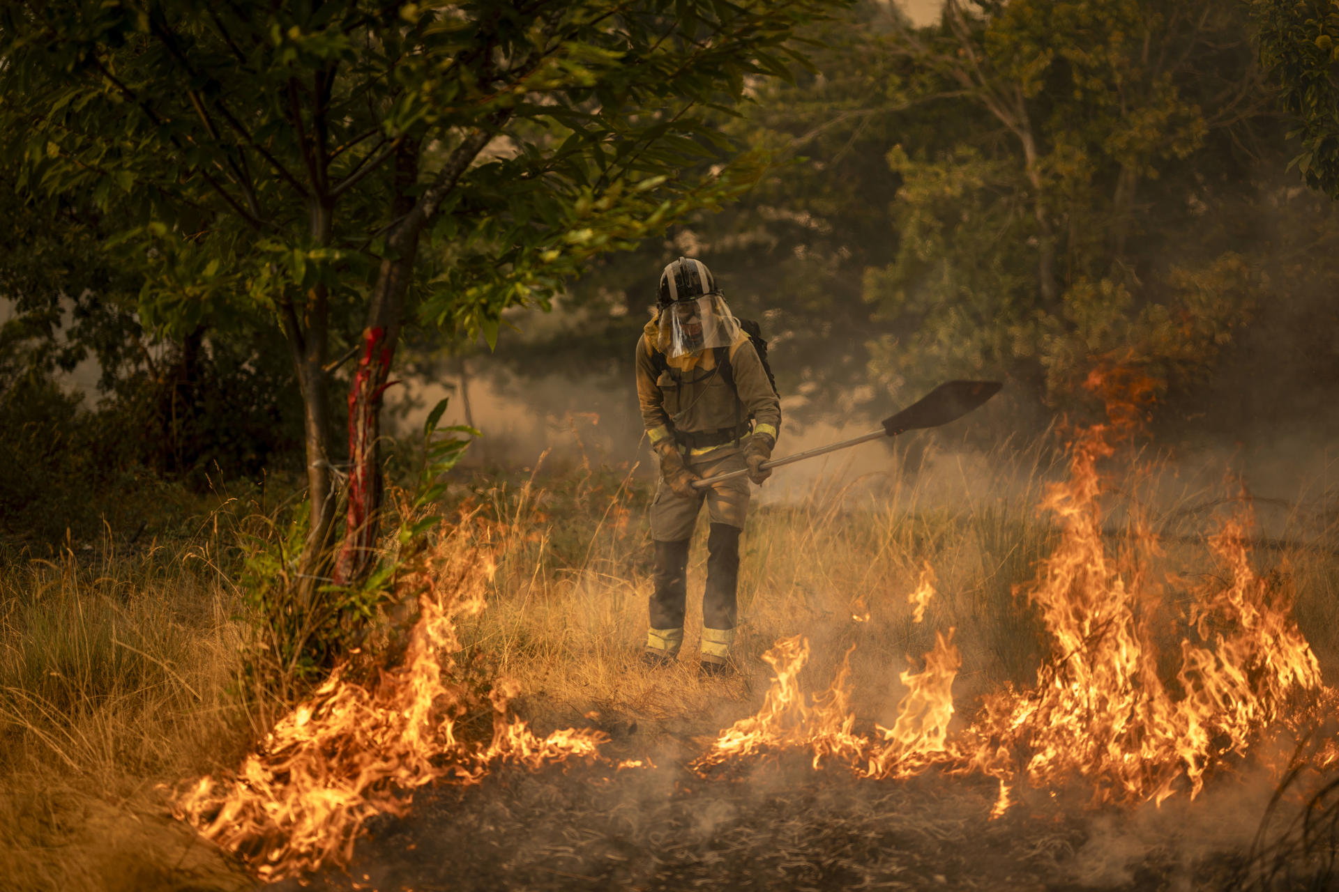 Un bombero forestal realiza labores de extinción en el nuevo incendio declarado este miércoles en A Gudiña (Ourense). EFE/Brais Lorenzo
