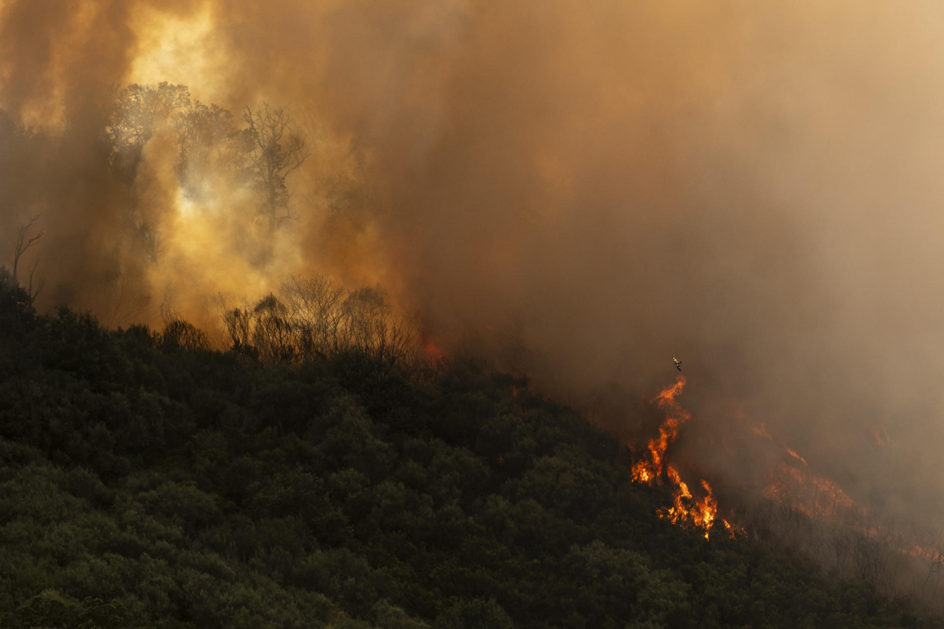 Llamas del incendio que afecta al municipio ourensano de Vilardevós y que, según las últimas estimaciones de la Xunta, que ha decretado el nivel 2 de emergencia por su proximidad a núcleos de población, afecta a 400 hectáreas. EFE/ Brais Lorenzo