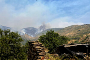 Imagen del incendio en Odollo y Llamas (León) el pasado viernes. EFE/ Ana F. Barredo