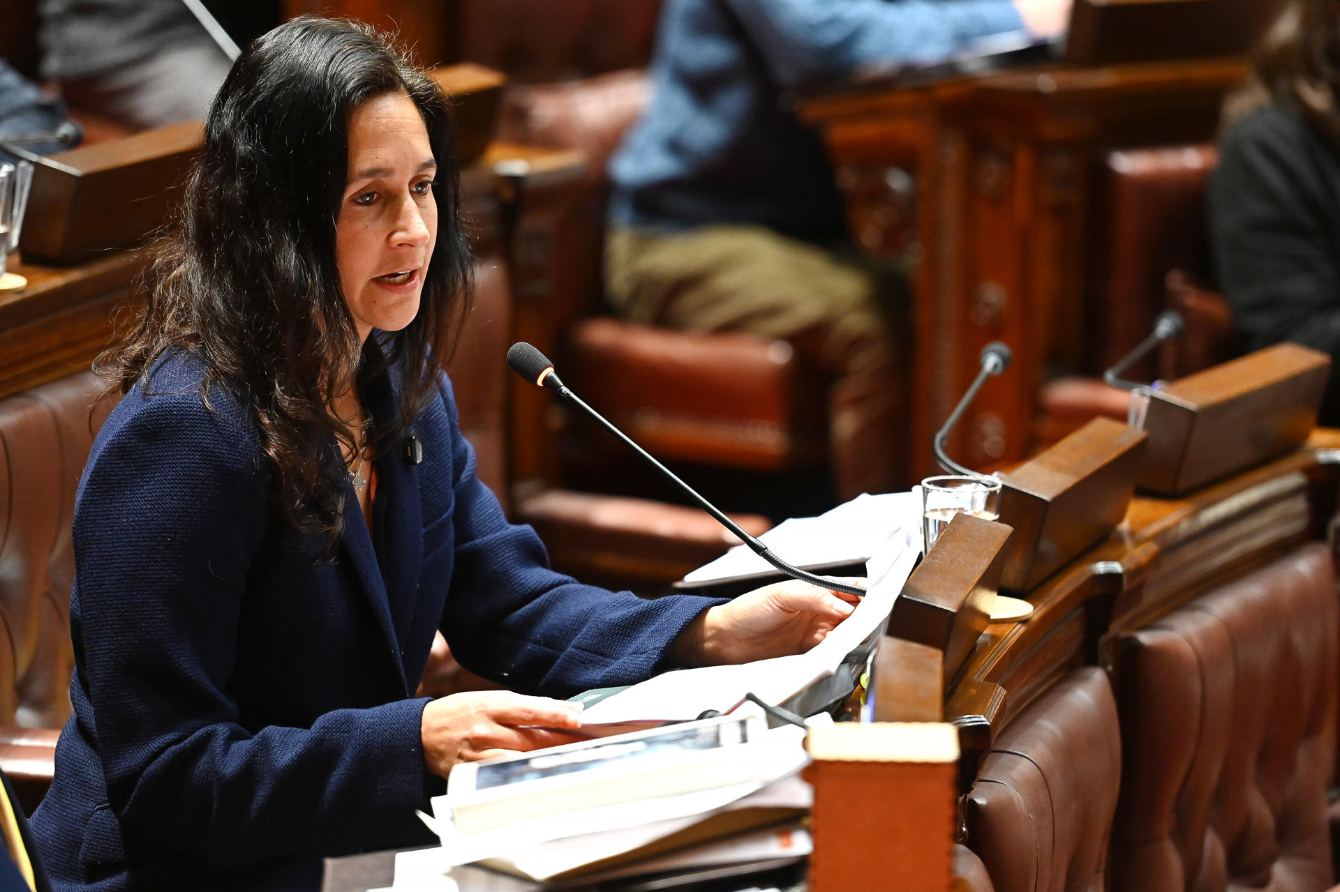 La diputada por el Partido Identidad Soberanal Nicolle Sallei habla durante una sesión en la Cámara Baja este martes, en Montevideo (Uruguay). EFE/ Federico Gutiérrez
