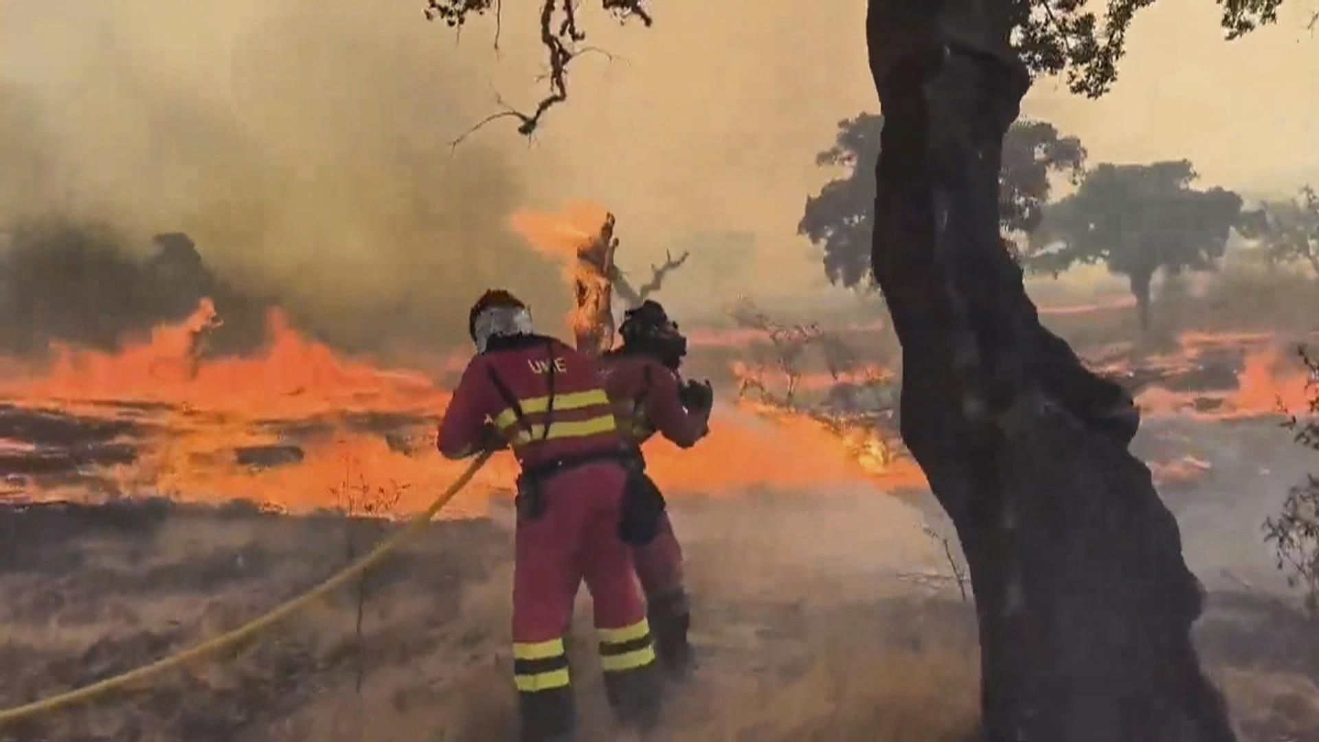 Imagen de vídeo de la UME que muestra el avance del incendio forestal de Jarilla (Cáceres), que tiene un perímetro de 130 kilómetros, y que ha obligado a evacuar durante esta madrugada varias casas diseminadas en el Valle del Jerte. EFE/UME  *****SOLO USO EDITORIAL/SOLO DISPONIBLE PARA ILUSTRAR LA NOTICIA QUE ACOMPAÑA (CRÉDITO OBLIGATORIO) *****
