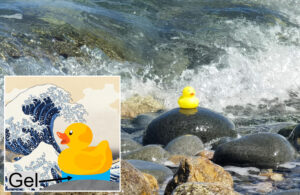 Fotografía de un patito de goma adherido a una roca costera mediante una novedosa tecnología de hidrogel, resistente a las mareas y al impacto de las olas. Crédito: WPI-ICReDD, Universidad de Hokkaido.