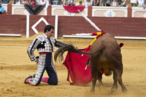 El diestro Jiménez Fortes da un pase con la muleta a uno de los de su lote, durante la corrida de la Feria de San Julián celebrada este lunes en la plaza de toros de Cuenca. EFE/Álvaro del Olmo