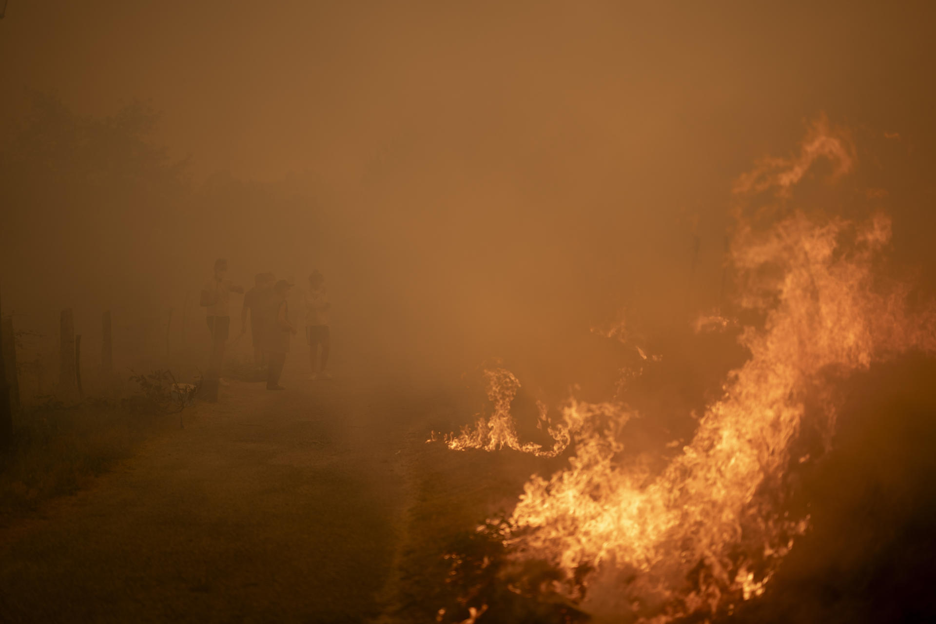 Vista del incendio forestal de Carballeda de Avia (Ourense) este domingo. La ola de incendios que afecta al noroeste de España no da tregua este domingo. Tras una semana de incendios que han causado tres muertos, miles de hectáreas quemadas y miles de desalojados por las llamas, el país se encuentra devastao. En la región de Galicia ardieron ya 50.000 hectáreas y en la de Castilla y León 3.500 personas permanecían fuera de sus hogares. EFE/ Brais Lorenzo