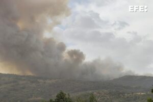 Imagen del incendio forestal que afecta estos días a Jarilla, Villar de Plasencia, Cabezabellosa y El Torno, en la provincia de Cáceres. EFE/Eduardo Palomo