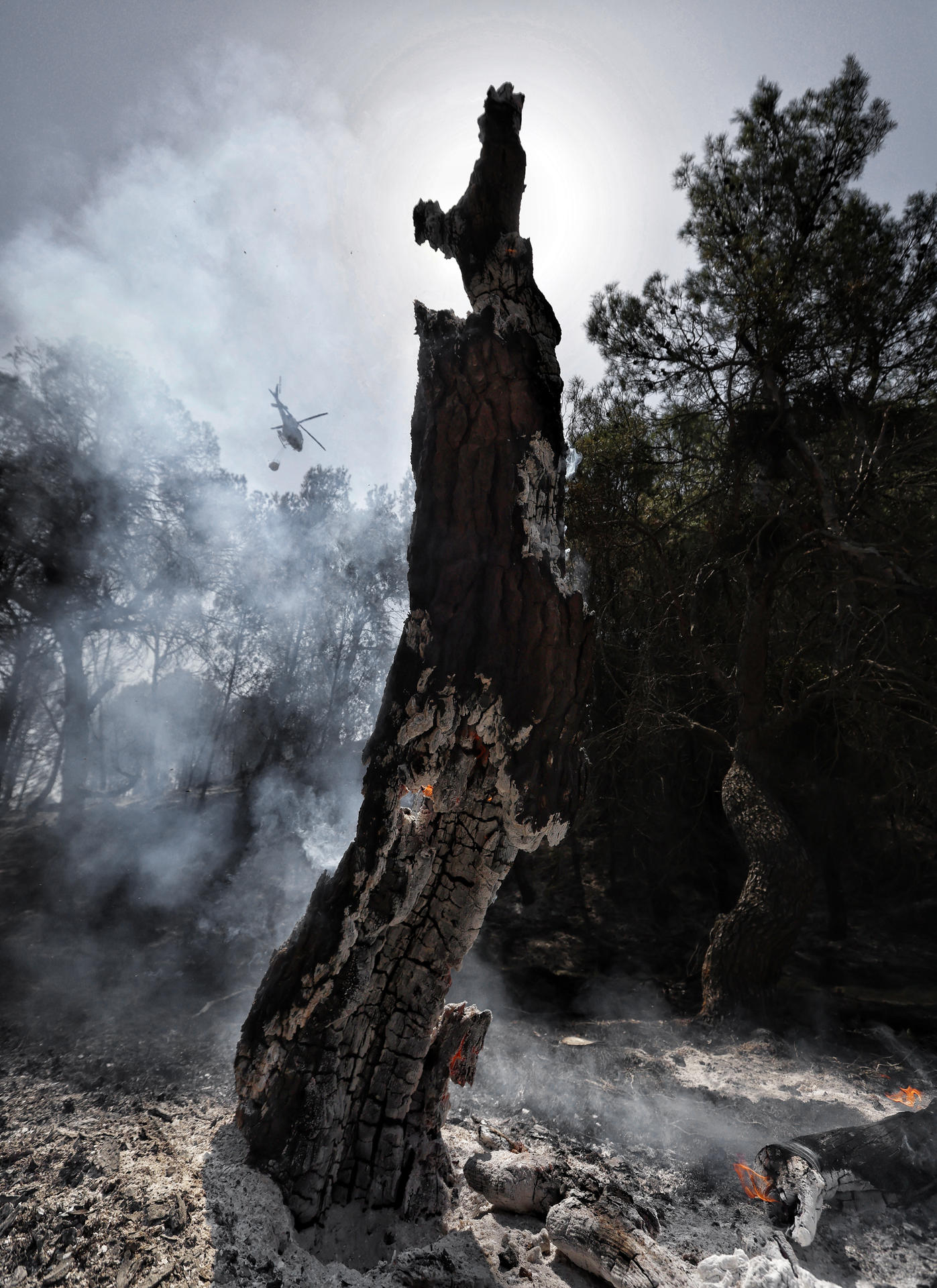 Área afectada por el incendio que desde el sábado a la noche se mantiene activo en un paraje forestal de la localidad navarra de Carcastillo, que sigue sin estar perimetrado, una tarea que se ve dificultada por las extremas temperaturas, bajo nivel de humedad y riesgo de tormenta seca. EFE/ Jesús Diges
