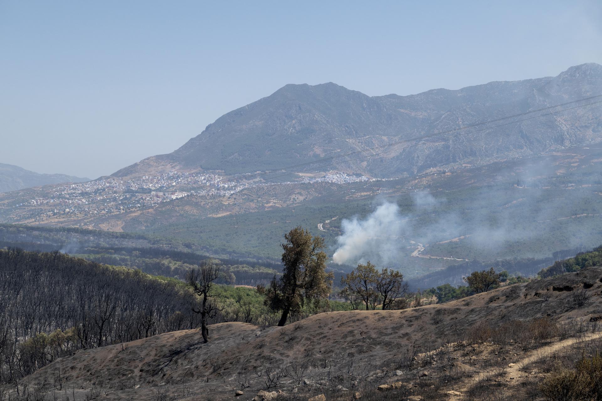 Smoke rises from a forest fire in the Kranekha area near Chefchaouen, Morocco, 13 August 2025. The forest fire has spread towards the forests of Tanqub and Bab Taz driven by strong winds, prompting the intervention of Civil Protection teams, local volunteers and two Canadair fire fighting aircraft. (incendio forestal, Marruecos) EFE/EPA/Jalal Morchidi