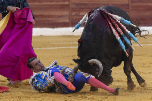 El torero alicantino José María Manzanares durante la lidia de su primer toro, de la ganadería de Daniel Ruiz, en el segundo festejo de la Feria Taurina de Murcia, este lunes en la plaza de toros de La Condomina. EFE/Marcial Guillén