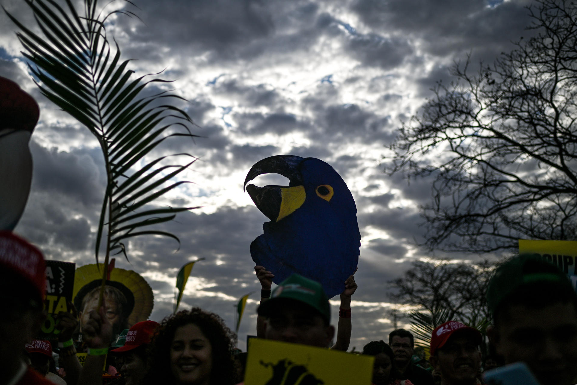 Personas sostienen carteles durante una manifestación este jueves, en la Explanada de los Ministerios, en Brasilia (Brasil). EFE/ Andre Borges
