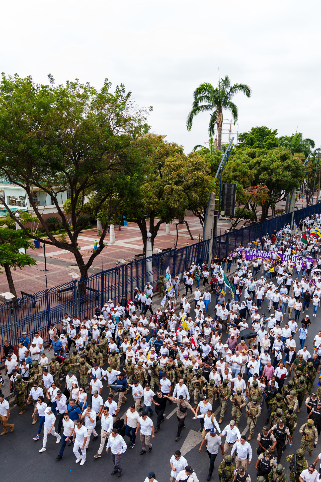 Cientos de personas se manifiestan durante una marcha este 11 de septiembre de 2025, en Guayaquil (Ecuador). EFE/ Mauricio Torres
