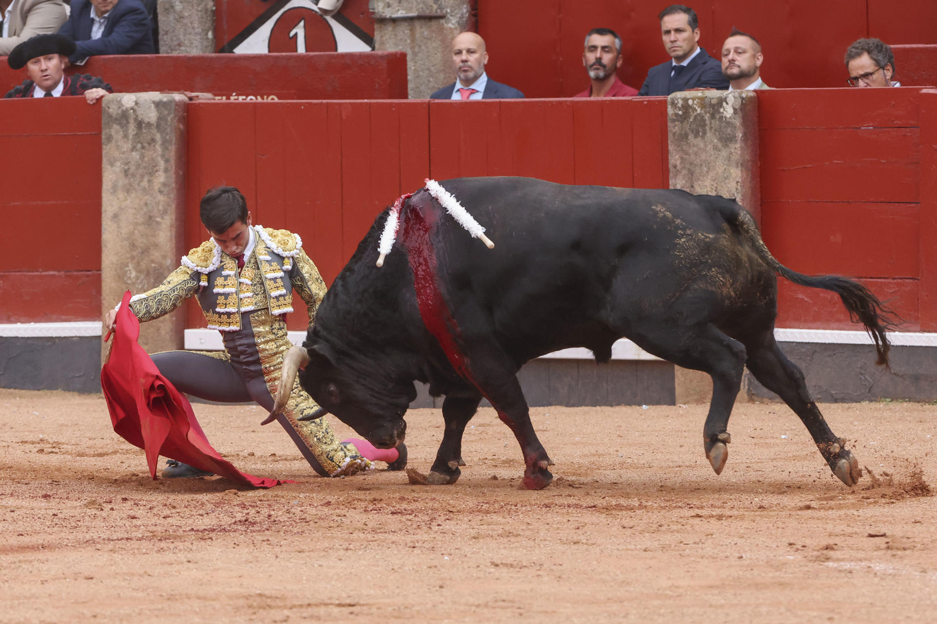 El diestro José Antonio "Morante de la Puebla" durante su faena en el tercer festejo de la Feria de Salamanca, con toros de García Jiménez, este viernes en la Plaza de toros La Glorieta. EFE/ JM García
