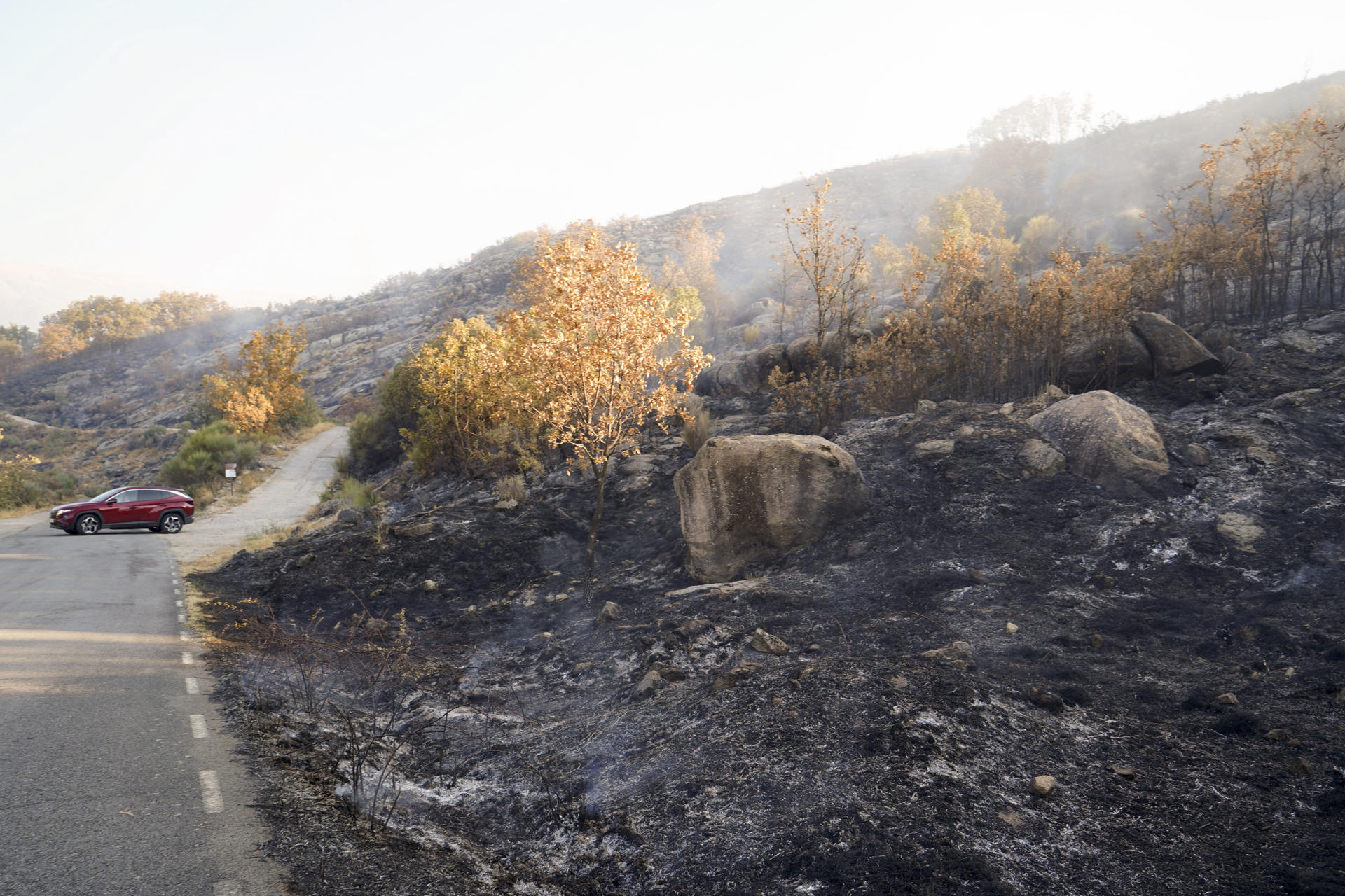 Zona quemada por el incendio forestal declarado este domingo en Cuacos de Yuste (Cáceres), que ha arrasado 438 hectáreas de matorral y arbolado. EFE/ EDUARDO PALOMO