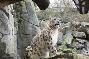 Fotografía de archivo del mayor parque zoológico de Europa, en Berlín. EFE/ Valesca Ricardo