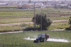 En la imagen de archivo, un agricultor fumiga con su tractor un campo de hortalizas. EFE/ Kai Forsterling