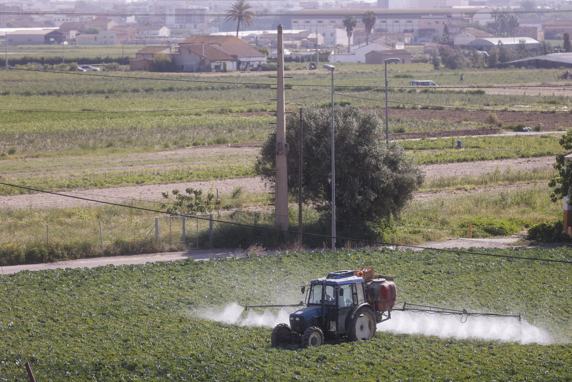 En la imagen de archivo, un agricultor fumiga con su tractor un campo de hortalizas. EFE/ Kai Forsterling