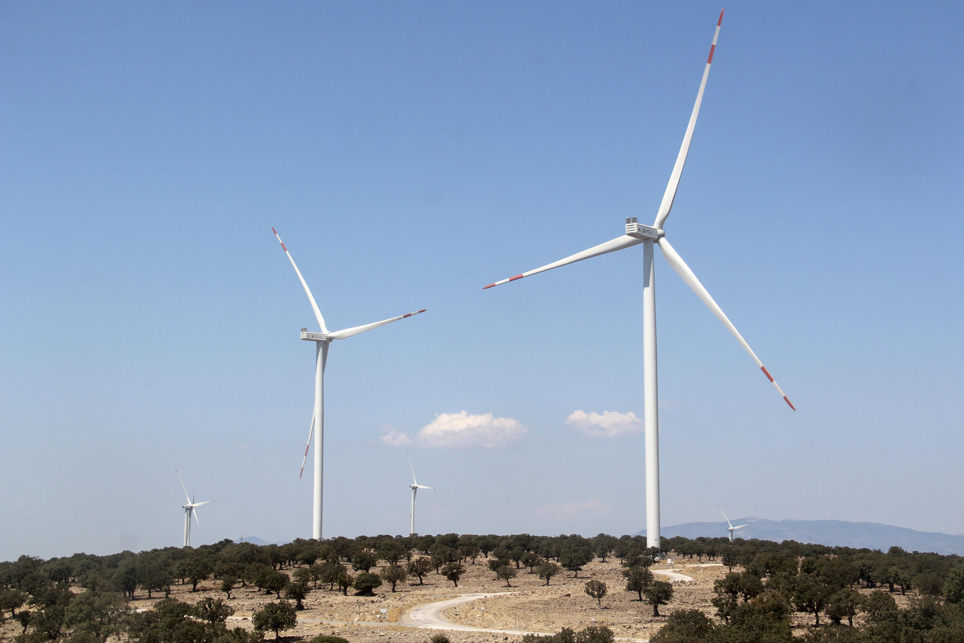 ESTAMBUL, 06/09/2025.- Parque eólico en la provincia de Esmirna, Turquía. EFE/ Ilya U. Topper